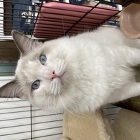 わんわんペットセンター