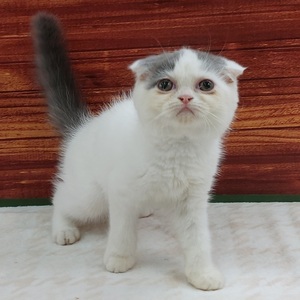 ペットアミ伊万里店