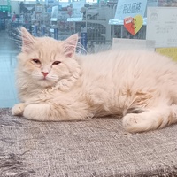 ペットアミ佐世保店