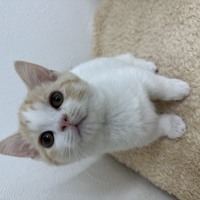 ペットアミ伊万里店