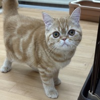 ペットアミ周船寺店