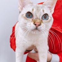 ペットアミ武雄店