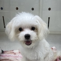 ペットアミみやき店