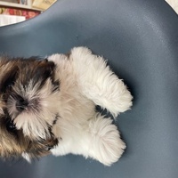 ペットアミ佐世保店