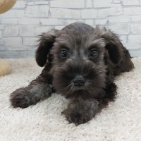 ペットアミ伊万里店