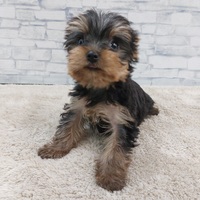 ペットアミ武雄店