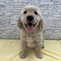 ペットアミ佐世保店