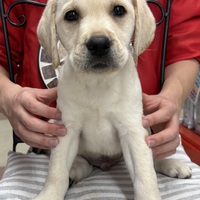 わんわんペットセンター