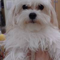 ペットアミ佐世保店