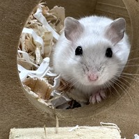ペットアミ伊万里店