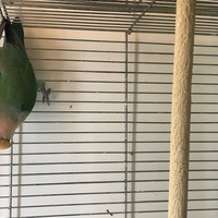ペットアミ周船寺店