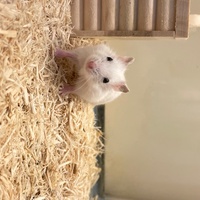 ペットアミ周船寺店