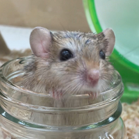 ペットアミ伊万里店