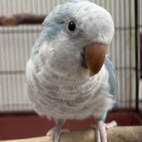 わんわんペットセンター