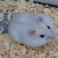 ペットアミ佐世保店