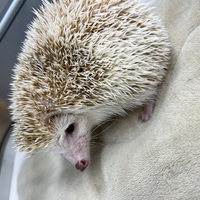 ペットアミ伊万里店