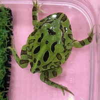 ペットアミ伊万里店