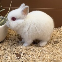 ペットアミ周船寺店