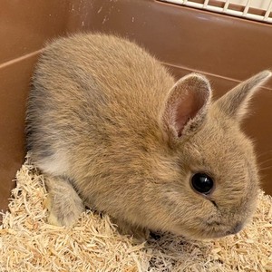 ペットアミ周船寺店