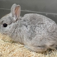 ペットアミ周船寺店