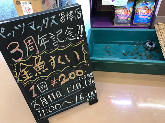 期間限定!金魚すくい♪