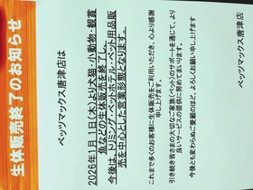 生体販売終了のお知らせ