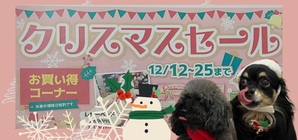 ☆クリスマスセール開催中☆