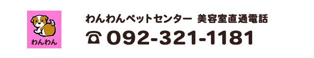 わんわんペットセンター　美容室直通電話　092-321-1181