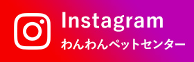 Instagram ワンワンペットセンター